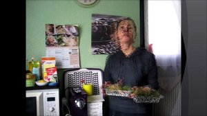 Как проращивать кресс салат