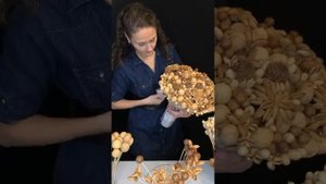 Ореховый букет. Большой оригинальный букет.