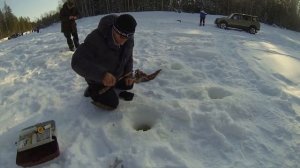 БЕШЕНЫЙ КЛЕВ ОГРОМНОЙ ПЛОТВЫ НА ЯМАЛЕ ЧАСТЬ ПЕРВАЯ!