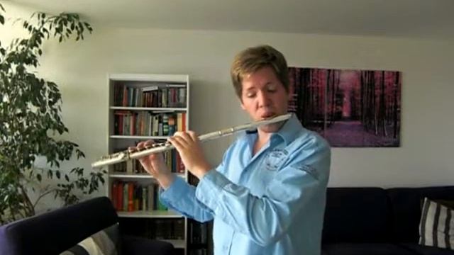 Gabriels Oboe / Nella Fantasia Flute Cover (Ennio Morricone) смотреть онлайн