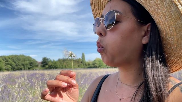 SUMMER IN PROVENCE | Visiting the Lavender Fields of The South of France смотреть онлайн