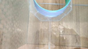 Бокс который поможет в разведение орхидей в домашних условиях