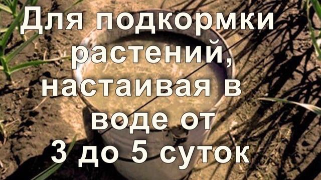 Навоз: коровий, конский, свиной, птичий, кроличий, овечий. Полезные свойства, степень разложения. смотреть онлайн