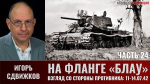 Игорь Сдвижков. На фланге "Блау". Часть 24. Взгляд со стороны противника на события 11 - 14.07.42г