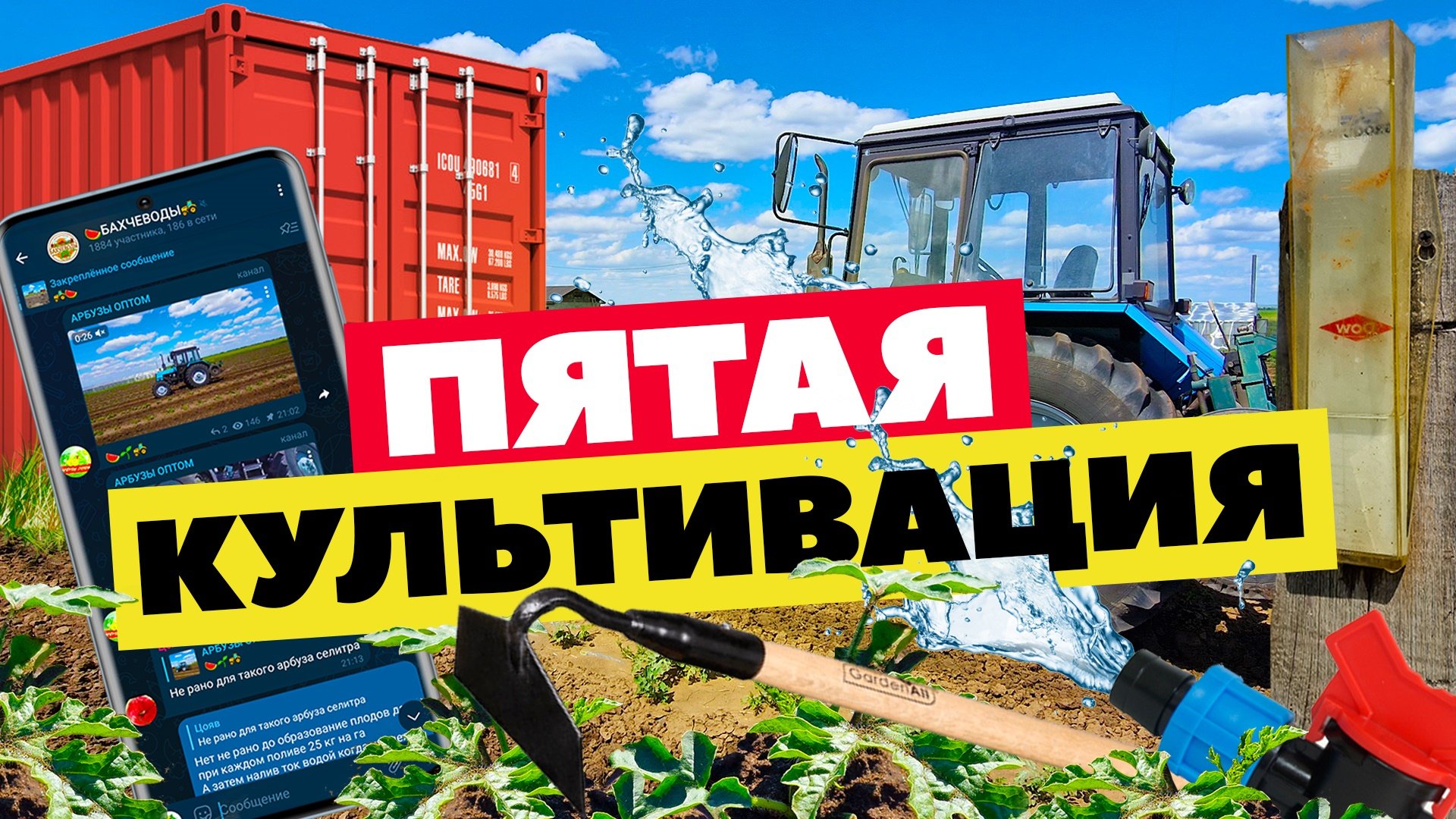 Пятая культивация прополка кормежка ????