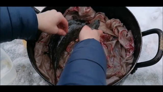 Коптим крупного окуня ! смотреть онлайн