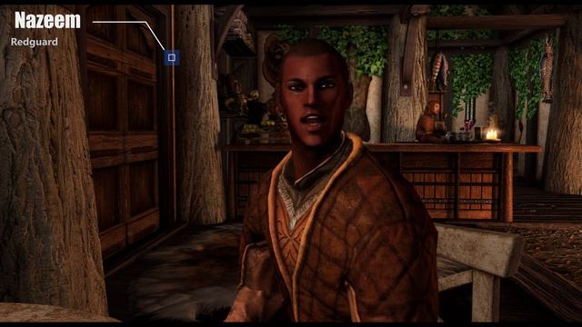 Skyrim MOD Showcase 📌 New Male Replacer - Male of Skyrim #2 смотреть онлайн