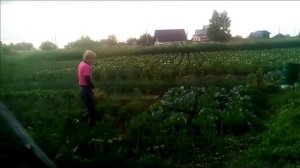 трактор т 25 работа в деревне