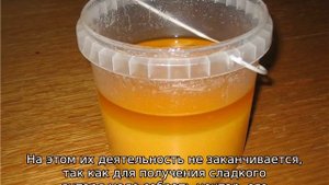 Почему свежий мед мутный, а не прозрачный