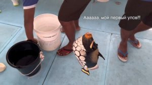 ВЛОГ С МАЛЬДИВ✈️?️ отдых в раю