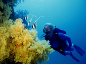 Первопроходец подводного мира