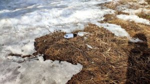 ГАЗЕЛЬ ИЗ ПЛАСТИЛИНА НА БЕЗДОРОЖЬЕ