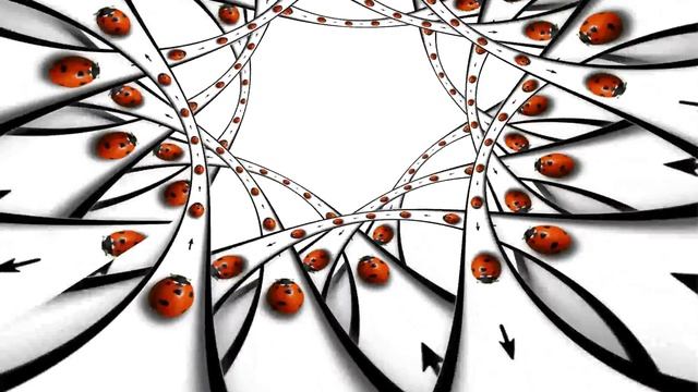 Adobe After Effects -Droste filter CS5 смотреть онлайн