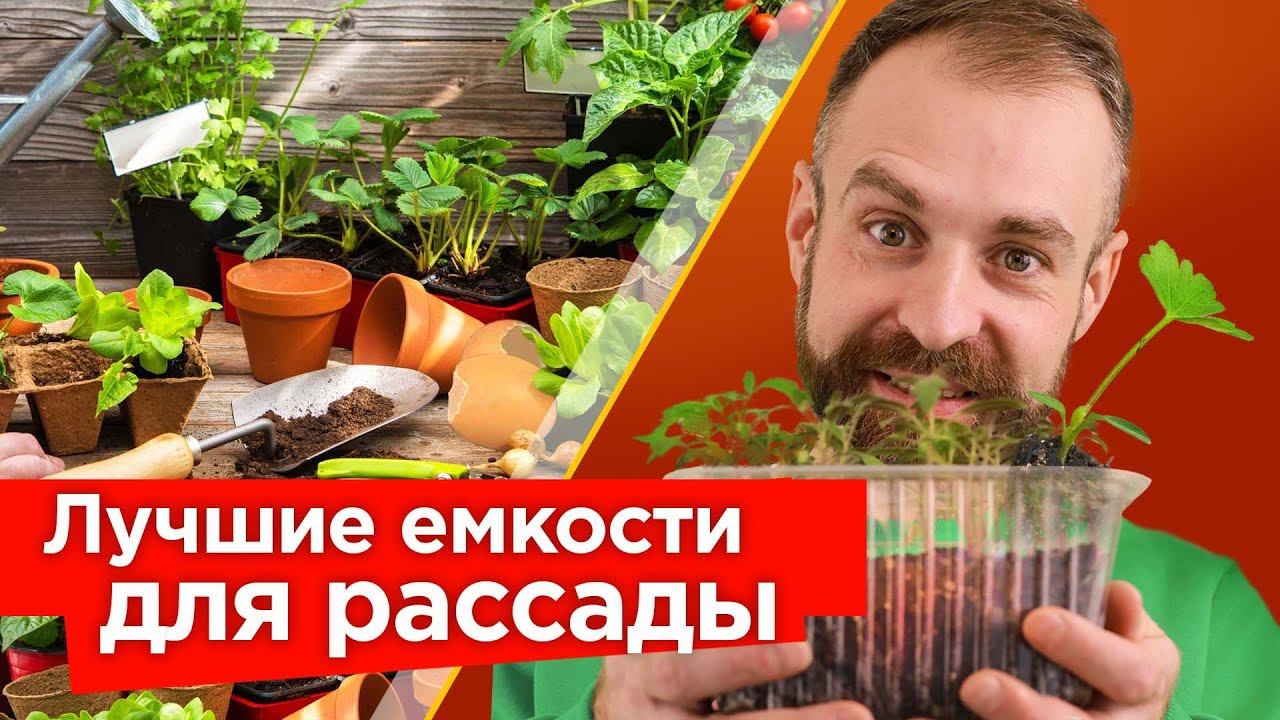 ВОТ ЛУЧШИЕ ЕМКОСТИ ДЛЯ КРЕПКОЙ И КОРЕНАСТОЙ РАССАДЫ! Выбираем правильные емкости для рассады