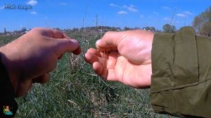 Как защитить тюльпан спиннинга или удочки.