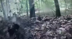 ШОК! ДРГ ВС РФ проникло на территорию Украины и навела шороху!