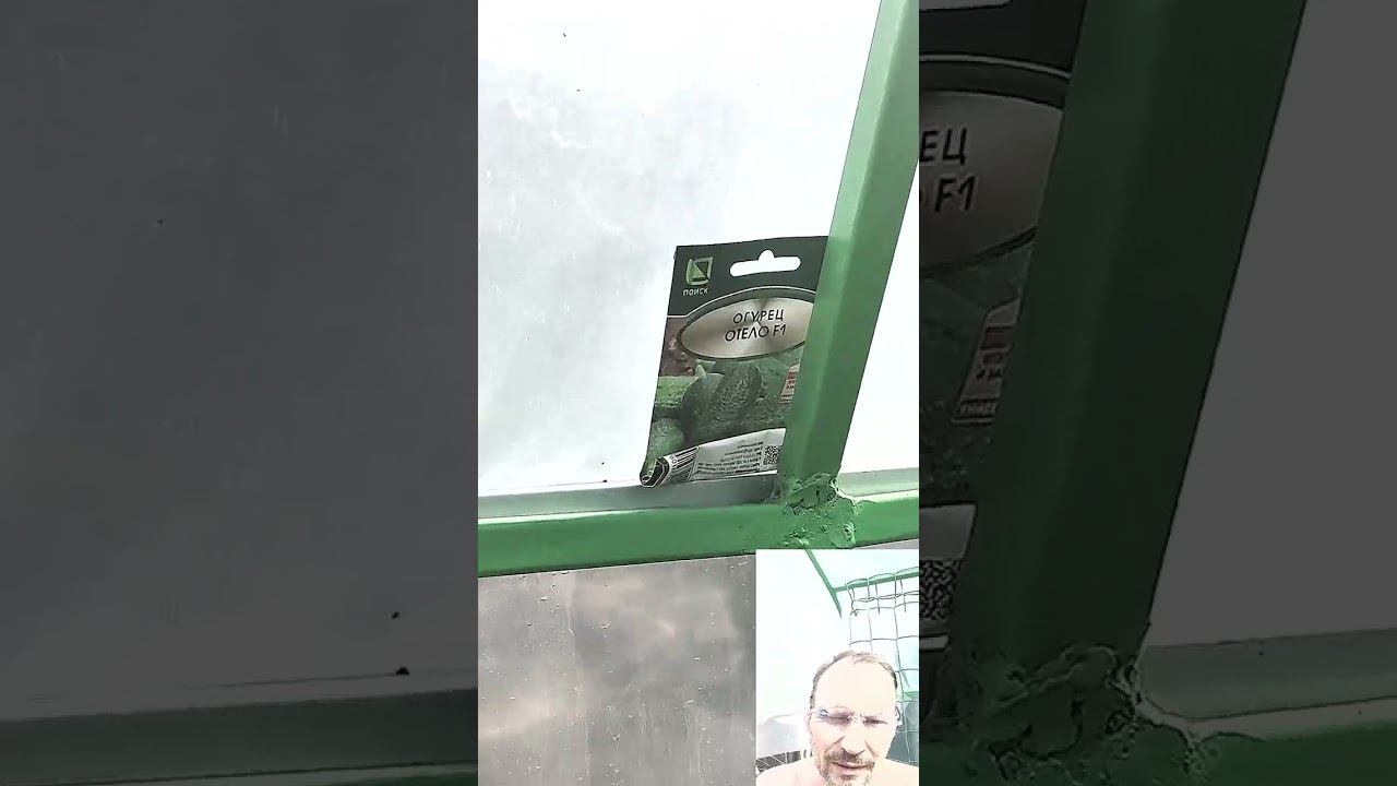 Моя первая теплица -2... смотреть онлайн