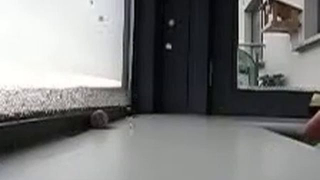 Fujifilm Finepix xp 200 224x168 360 kl/s смотреть онлайн