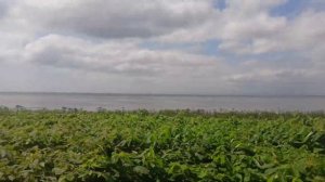 От ст. Христофоровка до ст. пять углов на рельсоубсе РА-3 "Орлан".