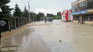 Прибытие автобуса