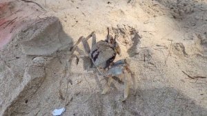 Пляж 🏖️ в Национальном парке Сиринат  Пхукет