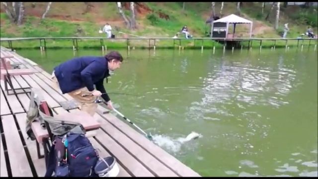 Ловля Форели. Рыбалка в Подмосковье.Форель.