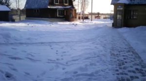 Река чаек