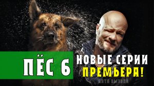 Пес 6 сезон 1-20 серии. Детектив НТВ. Дата выхода - сюжет