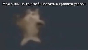 Мемы, шни шна шнапи шнапи шнапи шнап