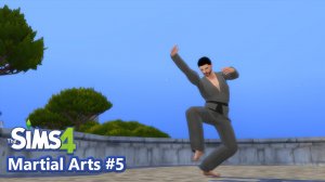 The Sims 4 Martial Arts Animations #5  - Download