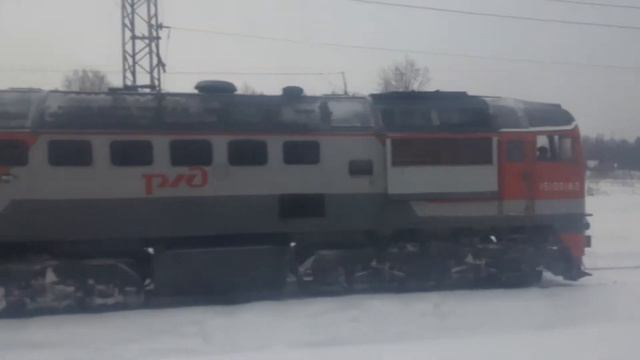 Станция: Тихонова Пустынь 2019