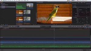 СУБКАДРЫ (Субфреймы) в Final Cut Pro X. Subframes Final Cut Pro X. Уроки Final Cut.