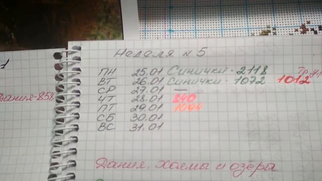 Тропинка у ручья/ Химера/ СП Больше чем просто большая/ Январь 2021 #вышивка #вышивкакрестиком