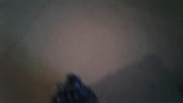 Цвергшнауцер возмущается