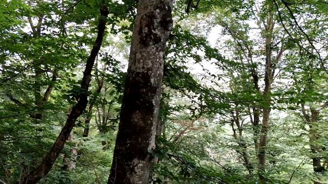 Железноводск, Гора Железная.