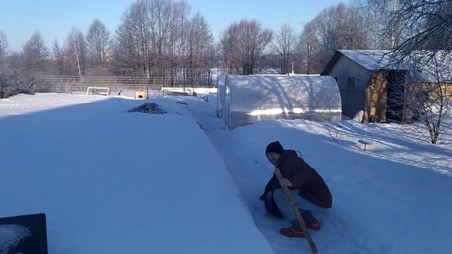 Упрямый хряк производитель сбежал смотреть онлайн