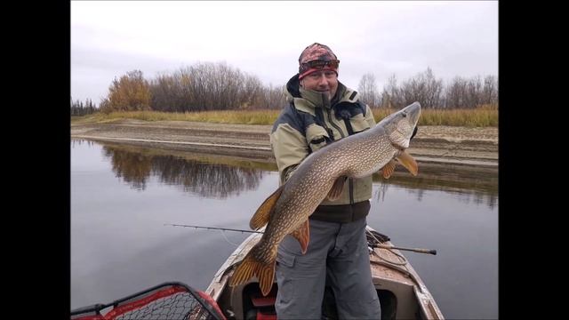 Отпускайте Щуку! Промо в поддержку Catch and Release! смотреть онлайн