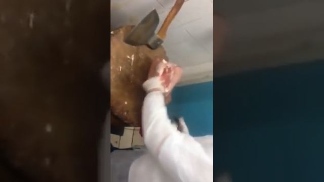 Как правильно разделать баранину! смотреть онлайн