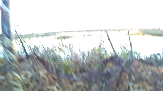 Охота на утку. И гусям досталось... смотреть онлайн