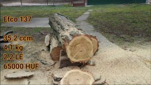 Stihl MS211 vs. Efco137