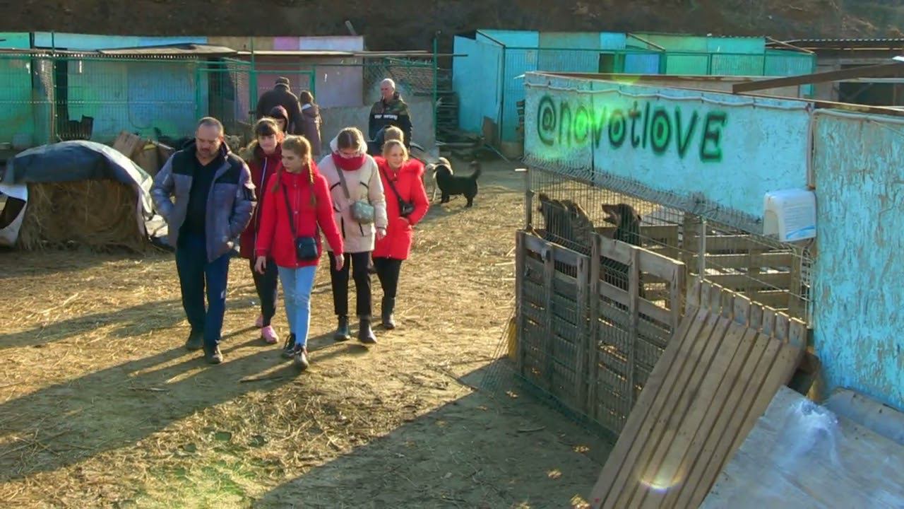 Собачий приют 2022 смотреть онлайн