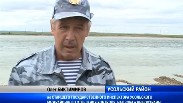 Байкальский омуль в Братском море