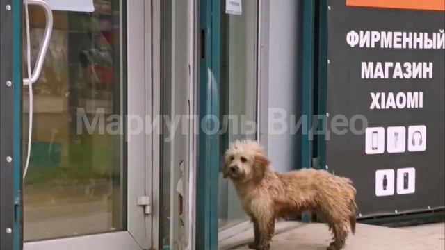 Мариуполь Капитальный ремонт этого Дома?️сегодня 27.11.22 Жизнь города смотреть онлайн