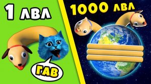 ЭВОЛЮЦИЯ ДЛИНЫ КОТОПСА  Максимальный Уровень Cats & Dogs 3D Noob vs Pro vs Hacker КОТЁНОК ЛАЙК