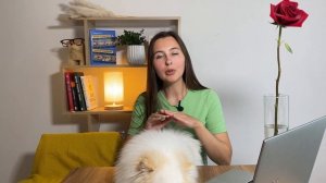 Отличие немецкого и померанского шпица. Измеряю Бонди. Стандарты РКФ