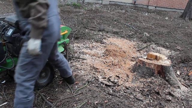 Удаление, дробление пней в Подмосковье. Dendroplan.ru: 8(925)522-01-44