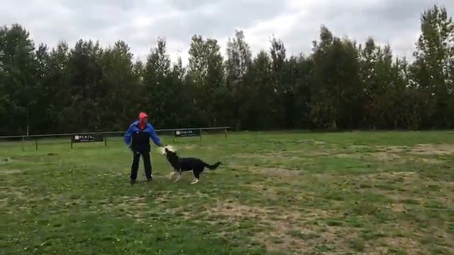 Росс Лайн Беркли, 10 мес. смотреть онлайн