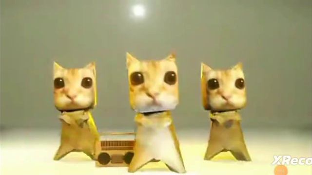 песня Куми Куми хапа лапа смотреть онлайн