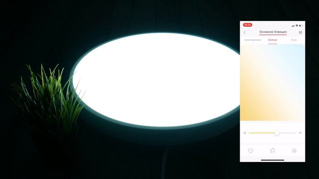 УМНАЯ потолочная лампа Yeelight Arwen 450S