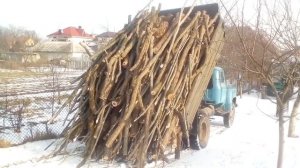 ГАЗ 53 вигрузка дров.